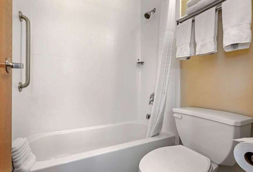 فندق على الطريق Comfort Inn