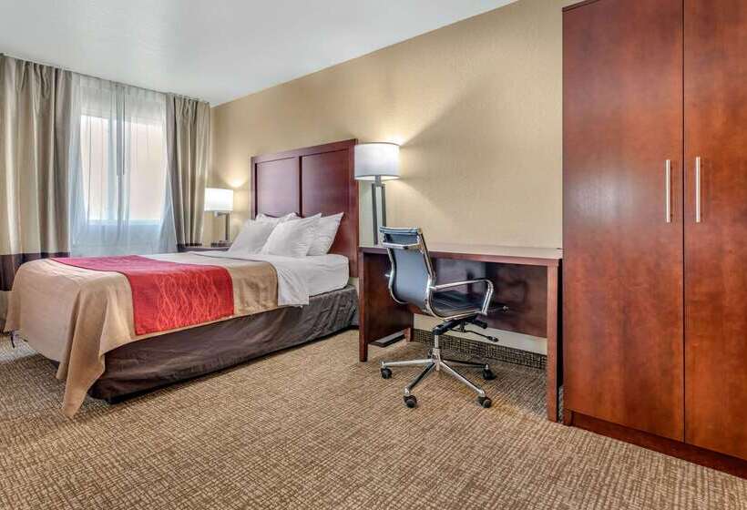 فندق على الطريق Comfort Inn