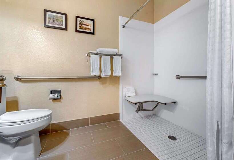 فندق على الطريق Comfort Inn