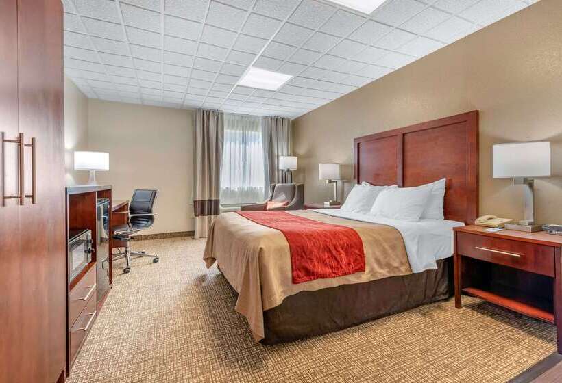 فندق على الطريق Comfort Inn