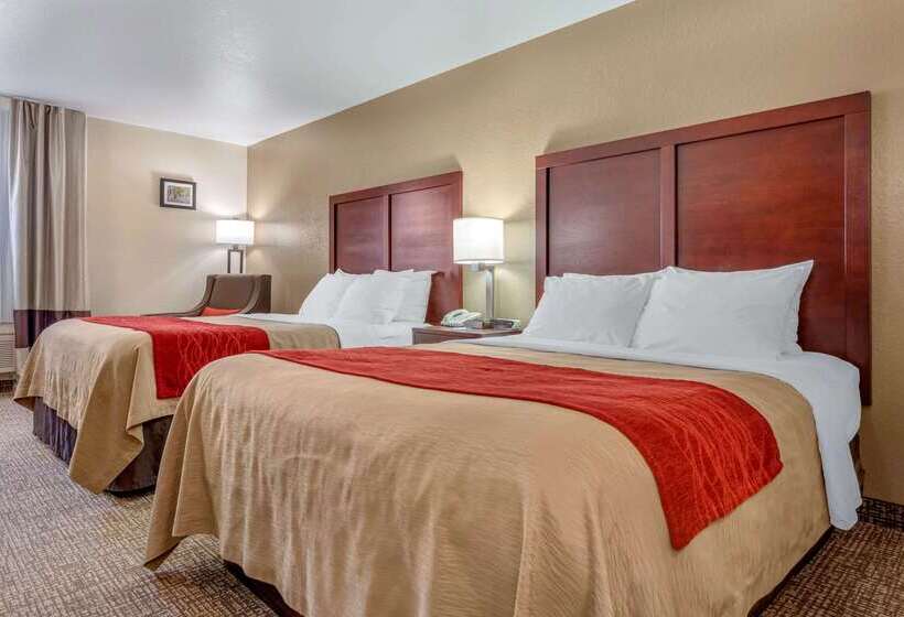 فندق على الطريق Comfort Inn