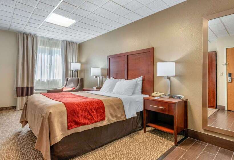 فندق على الطريق Comfort Inn