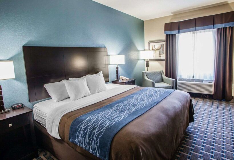 מוטל Comfort Inn Lees Summit   Hwy 50 & Hwy 291