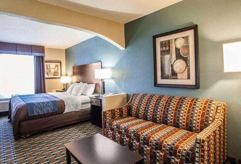 מוטל Comfort Inn Lees Summit   Hwy 50 & Hwy 291