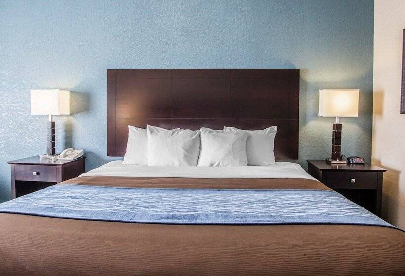 מוטל Comfort Inn Lees Summit   Hwy 50 & Hwy 291