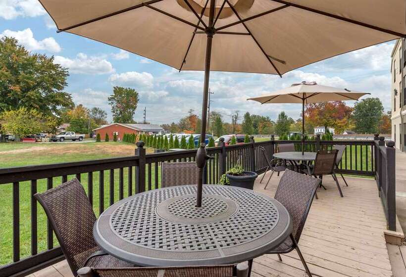 فندق على الطريق Comfort Inn