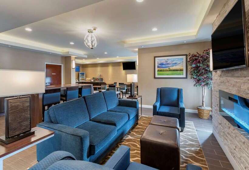 فندق على الطريق Comfort Inn