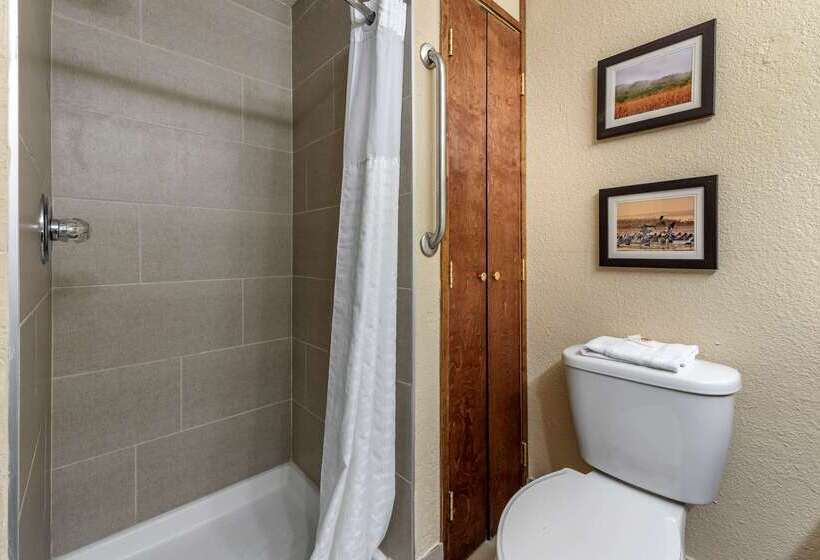 فندق على الطريق Comfort Inn