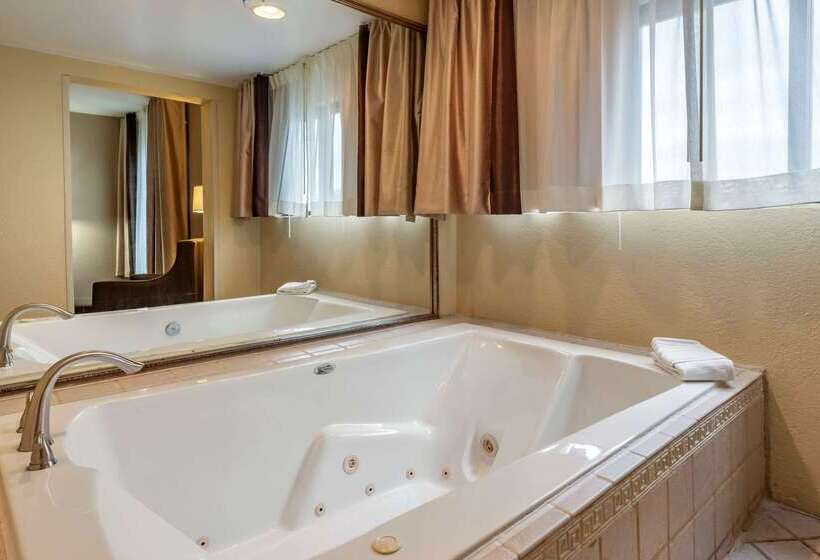 فندق على الطريق Comfort Inn