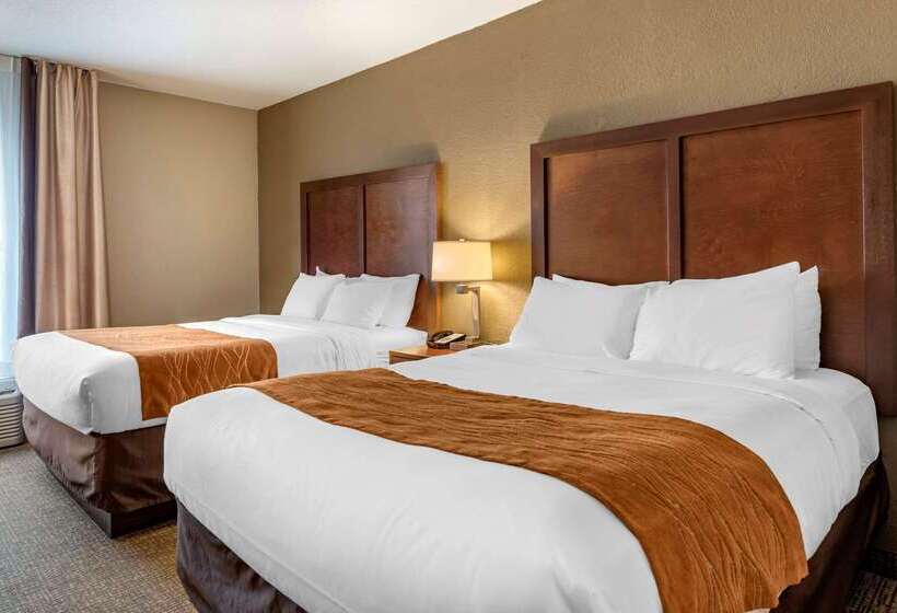 فندق على الطريق Comfort Inn