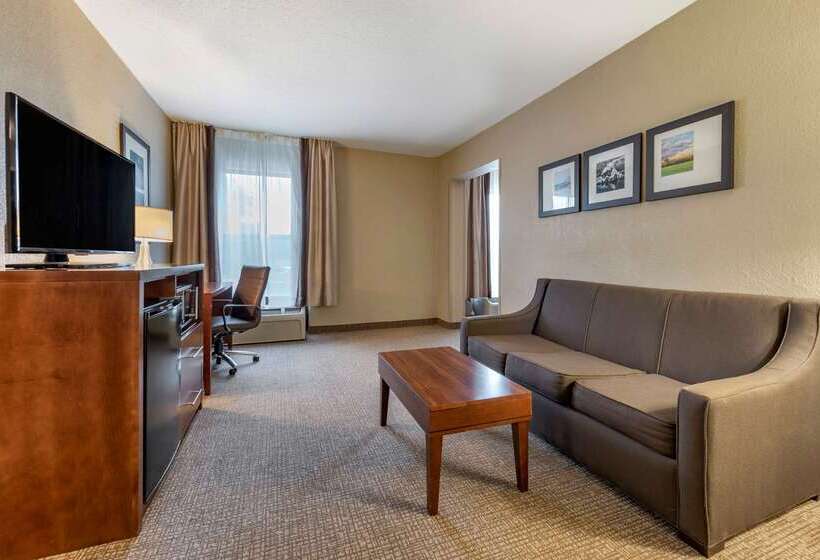 فندق على الطريق Comfort Inn