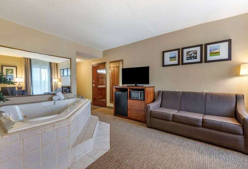 فندق على الطريق Comfort Inn