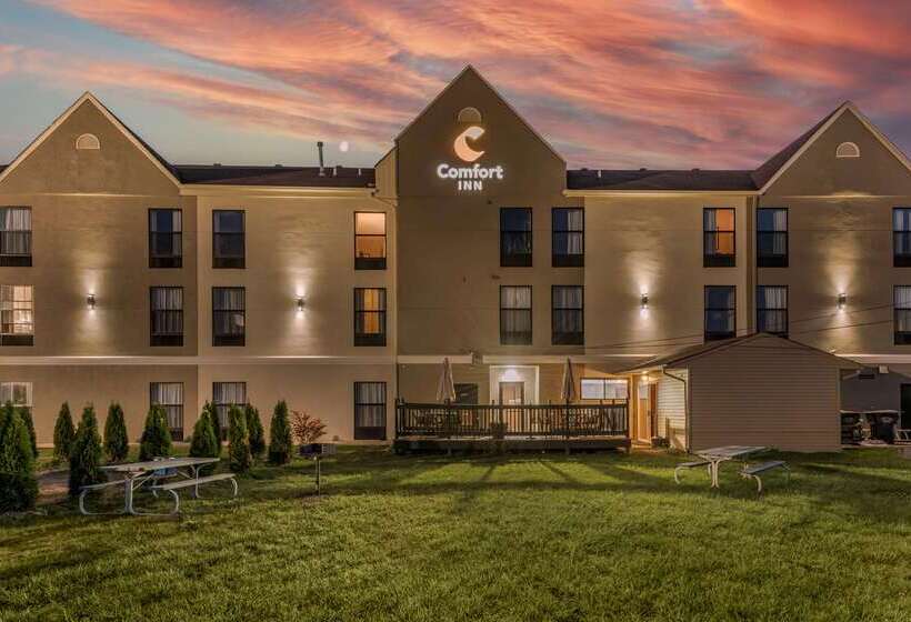 فندق على الطريق Comfort Inn
