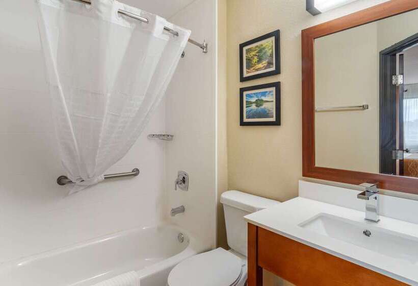 מוטל Comfort Inn & Suites South Hill I85