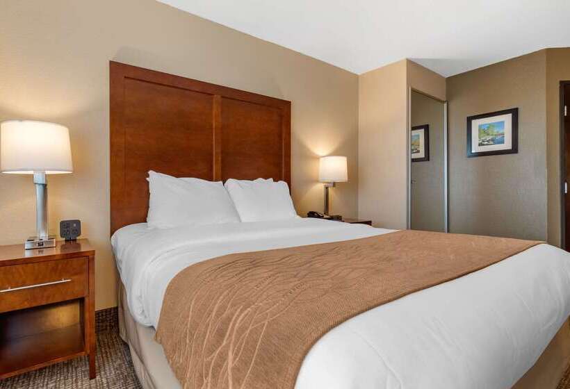 فندق على الطريق Comfort Inn & Suites South Hill I85