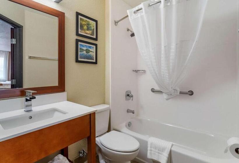فندق على الطريق Comfort Inn & Suites South Hill I85