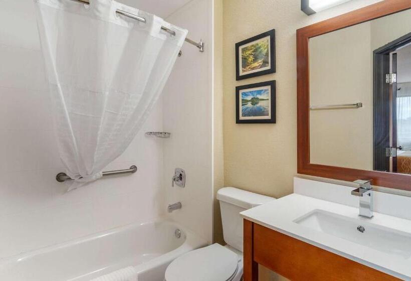 فندق على الطريق Comfort Inn & Suites South Hill I85