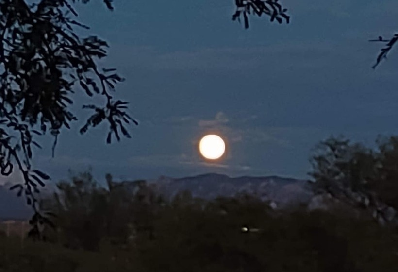 فندق على الطريق Copper Stay Inn Benson Az I 10 Exit 304