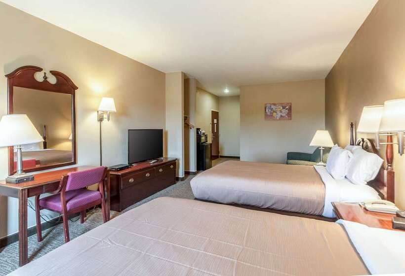 汽车旅馆  Econo Lodge Inn & Suites