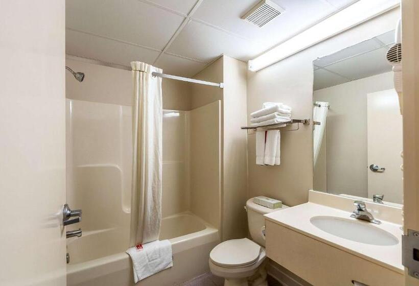 Мотель Econo Lodge Inn & Suites