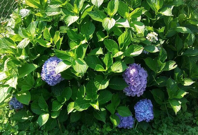 فندق على الطريق President Inn & Suites