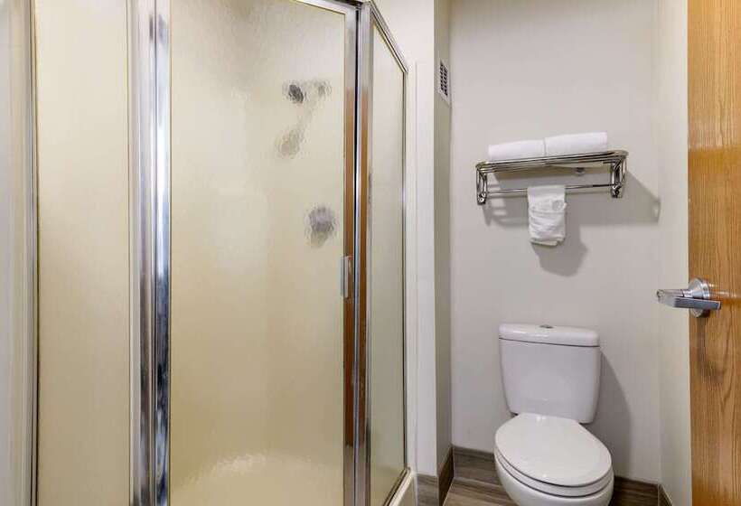 فندق على الطريق Quality Inn