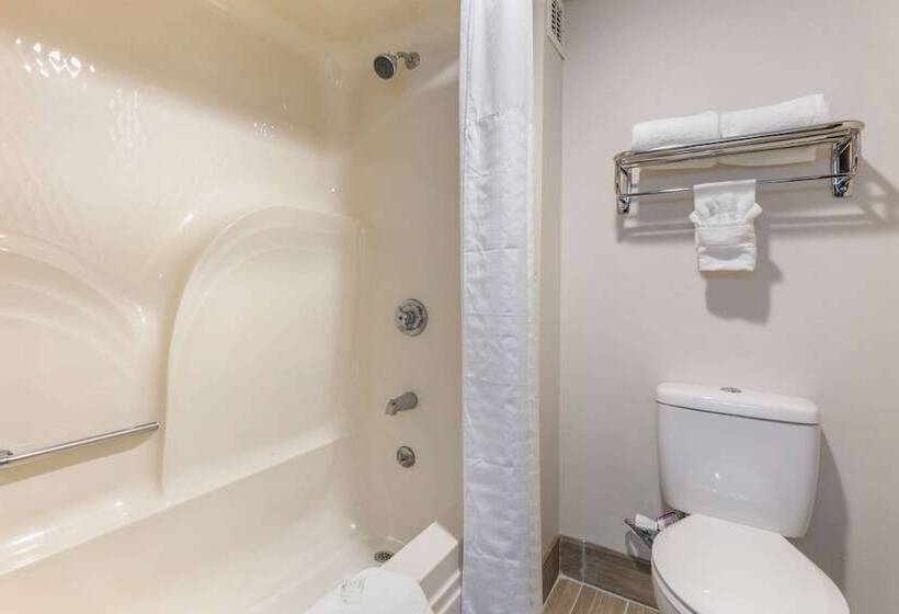 فندق على الطريق Quality Inn