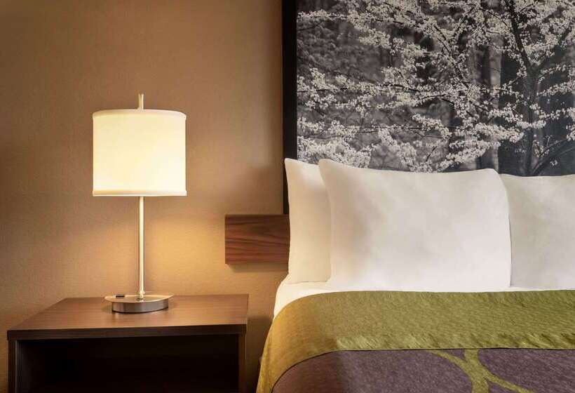 Мотель Super 8 By Wyndham Akron S/green/uniontown Oh