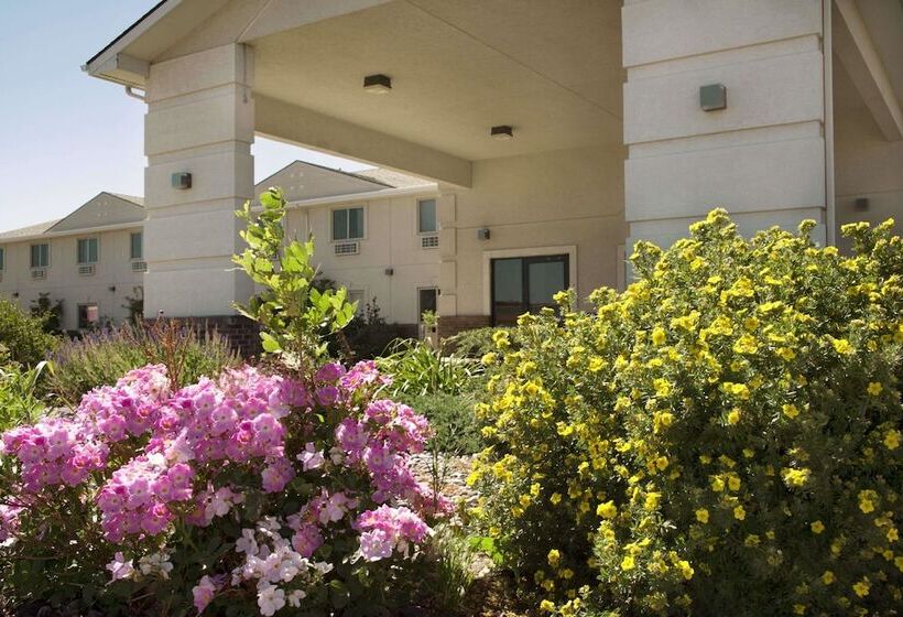 فندق على الطريق Super 8 By Wyndham Big Timber