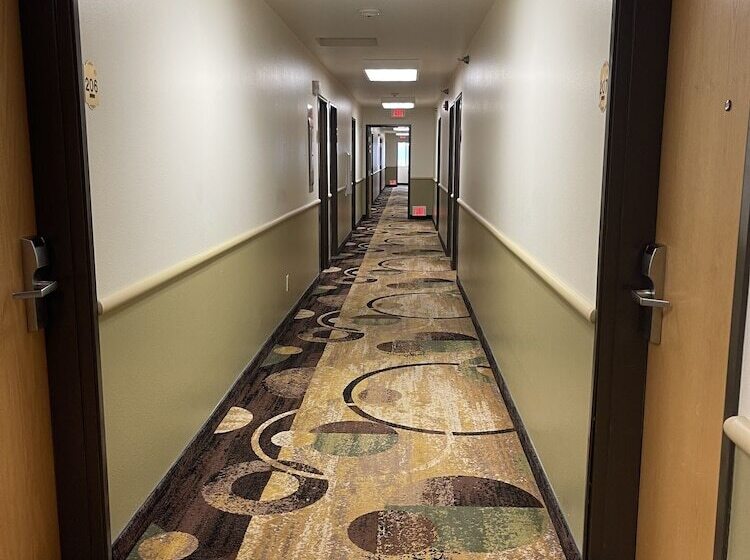 汽车旅馆  Super 8 By Wyndham Big Timber