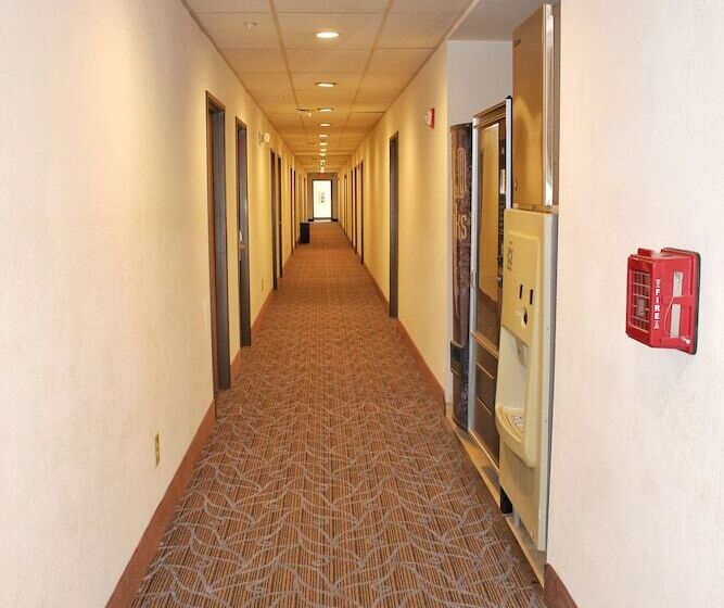 فندق على الطريق Super 8 By Wyndham De Soto