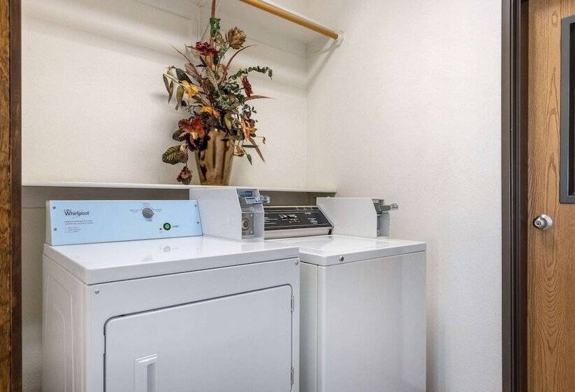 فندق على الطريق Super 8 By Wyndham De Soto