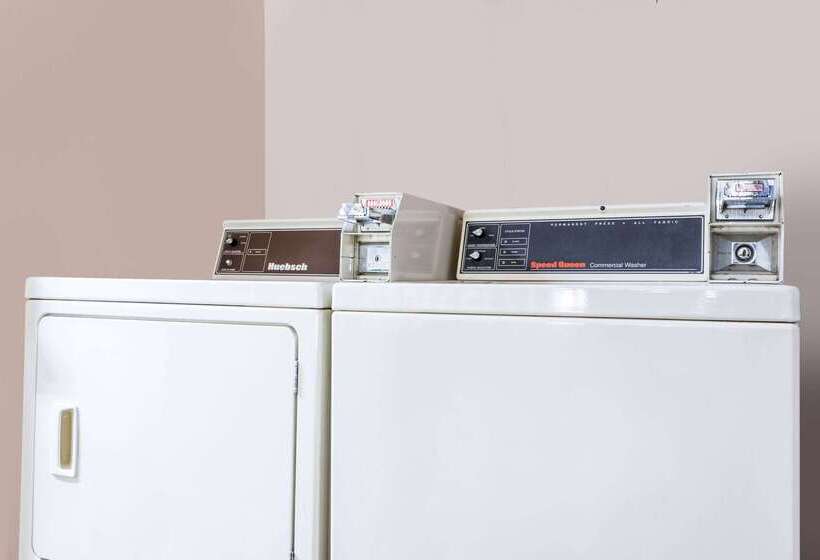 汽车旅馆  Super 8 By Wyndham Greer/spartanburg Area