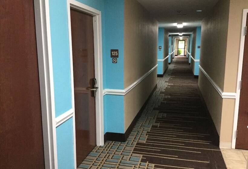 汽车旅馆  Super 8 By Wyndham Greer/spartanburg Area