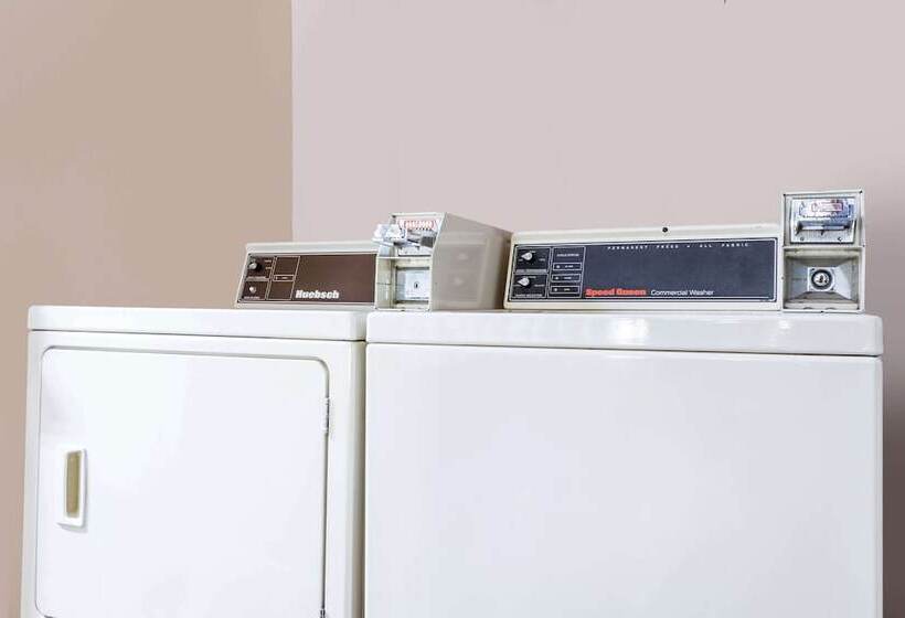 汽车旅馆  Super 8 By Wyndham Greer/spartanburg Area