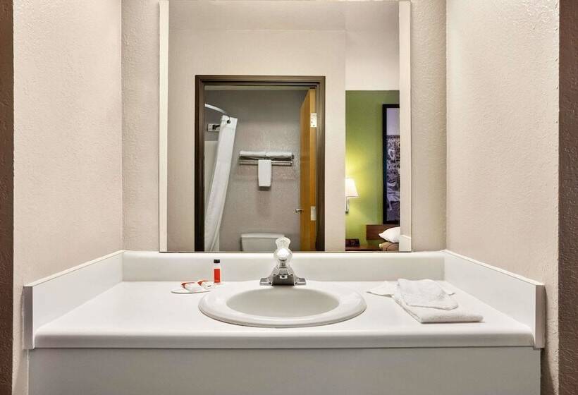 汽车旅馆  Super 8 By Wyndham Holton