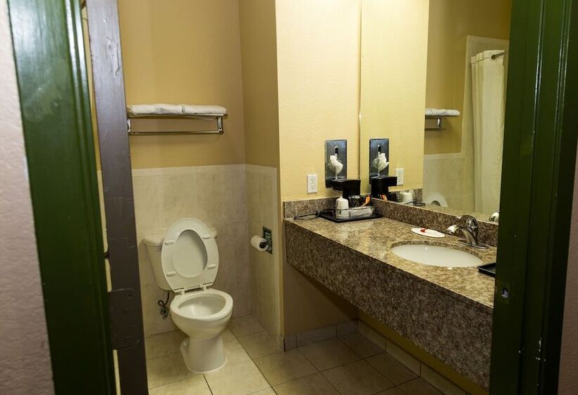 Мотель Red Lion Inn & Suites Iah Airport East