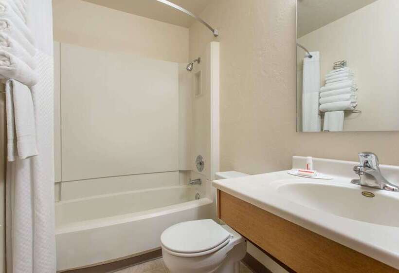 فندق على الطريق Super 8 By Wyndham Lacey Olympia Area