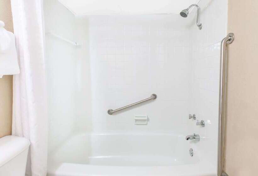 汽车旅馆  Super 8 By Wyndham Millbury/toledo