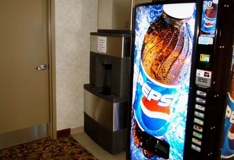 汽车旅馆  Super 8 By Wyndham Niagara Falls