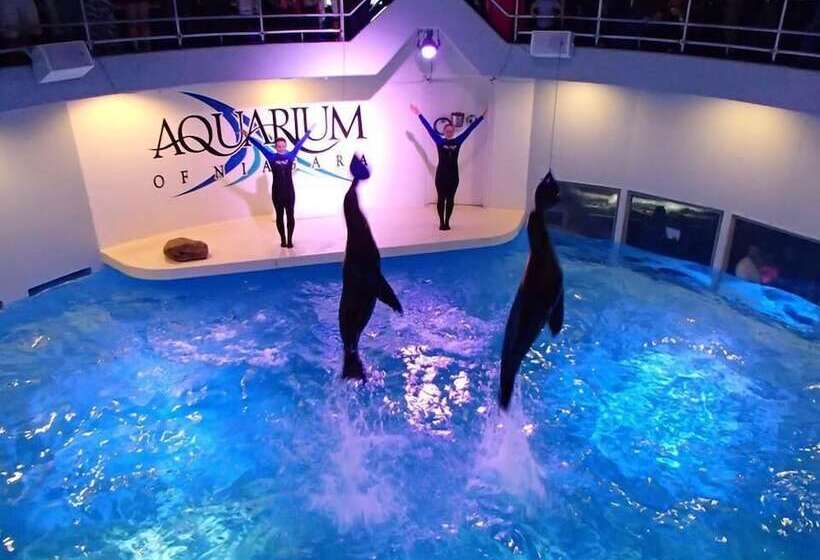 汽车旅馆  Super 8 By Wyndham Niagara Falls