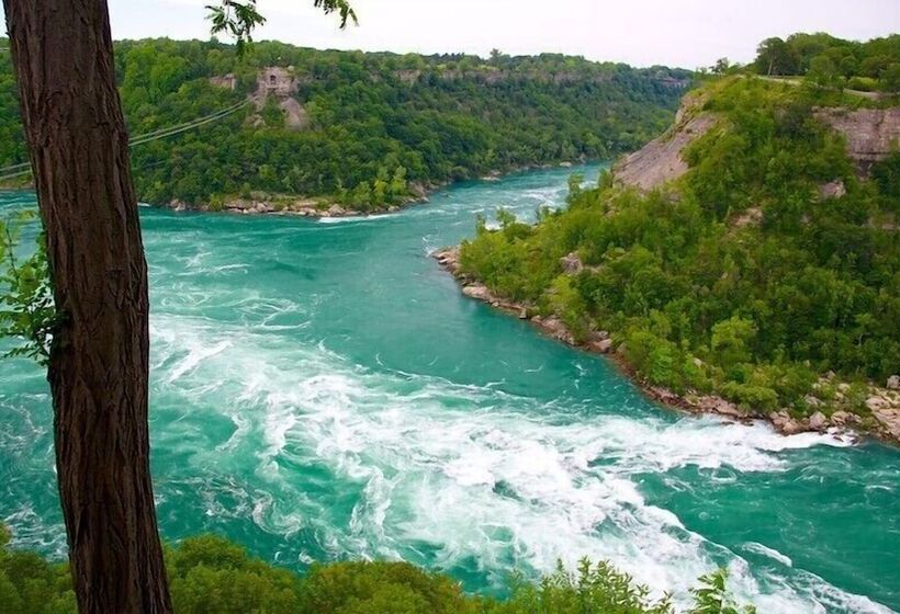 汽车旅馆  Super 8 By Wyndham Niagara Falls