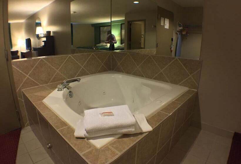 汽车旅馆  Super 8 By Wyndham Niagara Falls