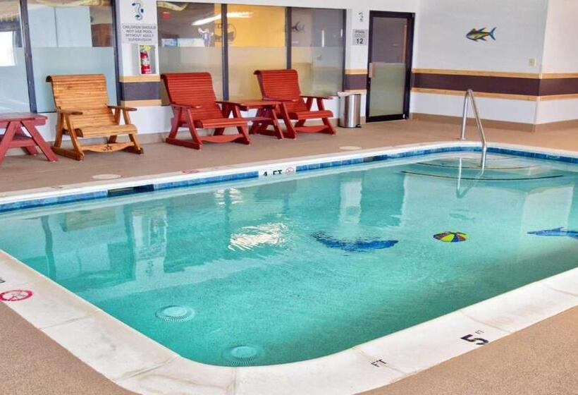 汽车旅馆 Super 8 By Wyndham Victoria/north/mall Area