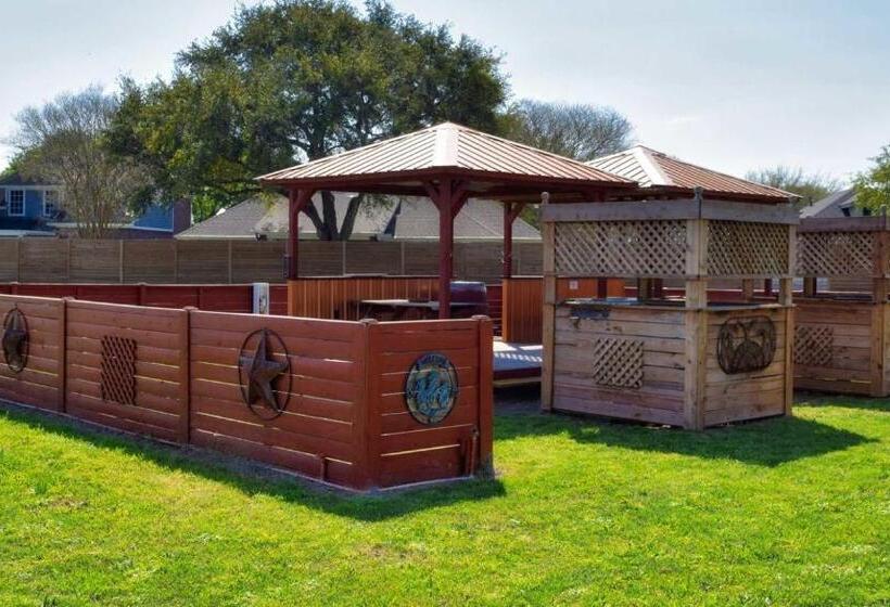 汽车旅馆 Super 8 By Wyndham Victoria/north/mall Area