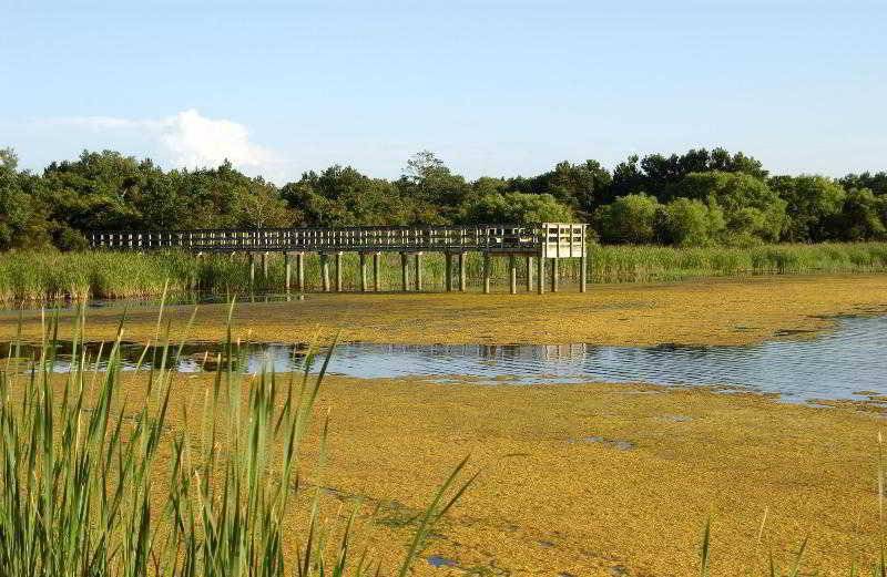 Sheraton Broadway Resort Villas