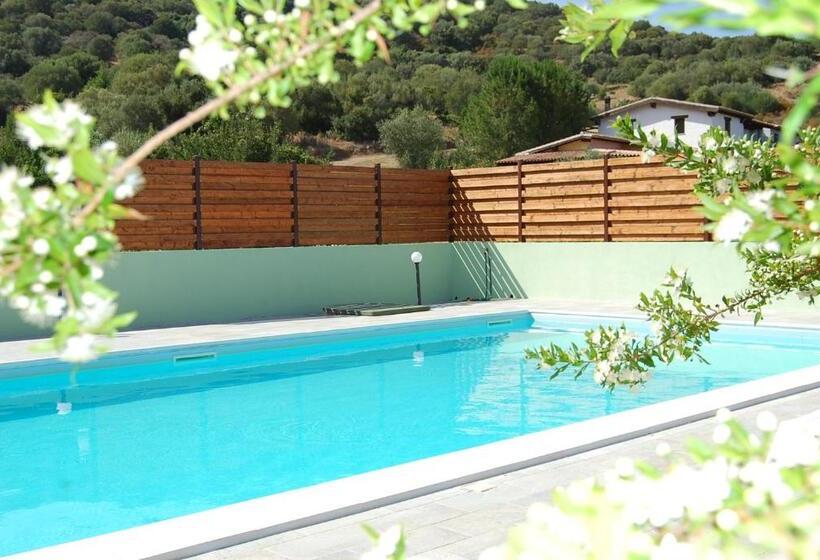 B&b Il Mirto Di Paola