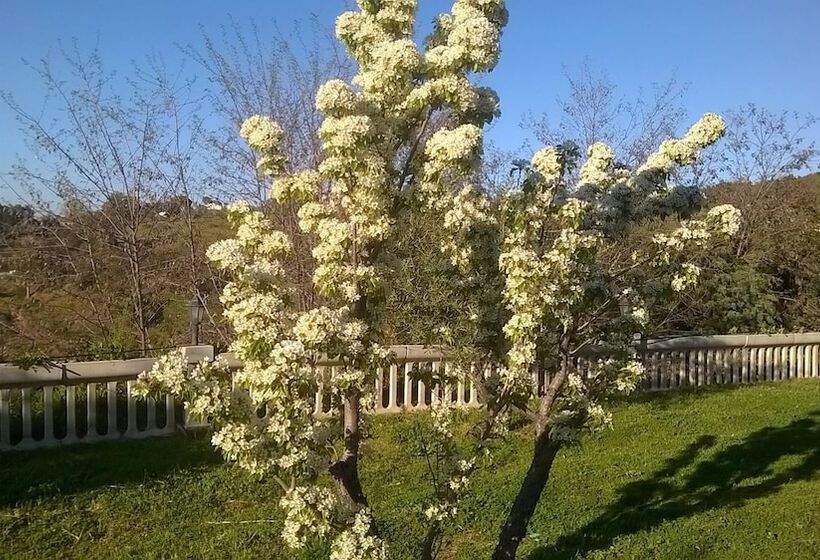 住宿加早餐  Agriturismo Vemi