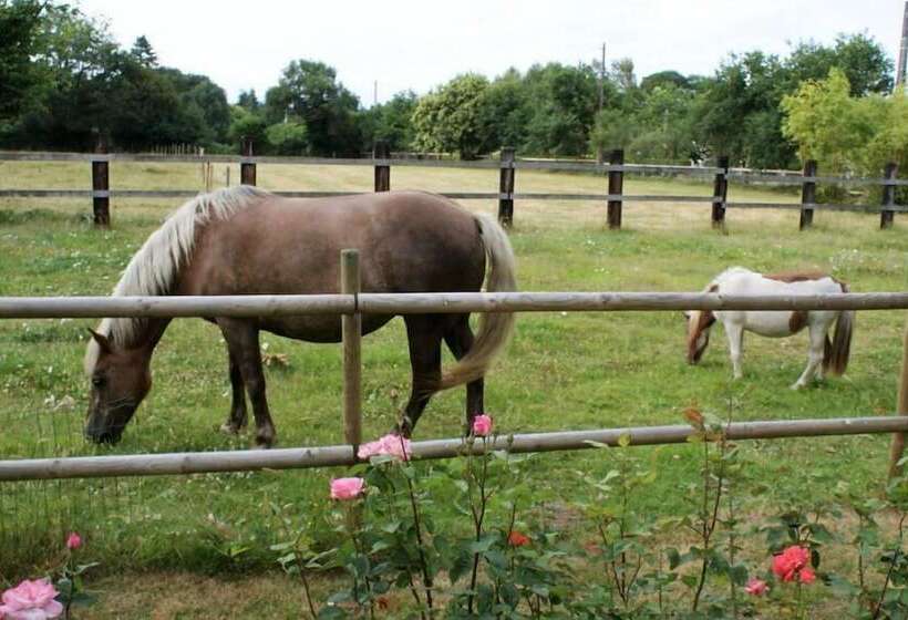 مبيت وإفطار Aux Agapanthes