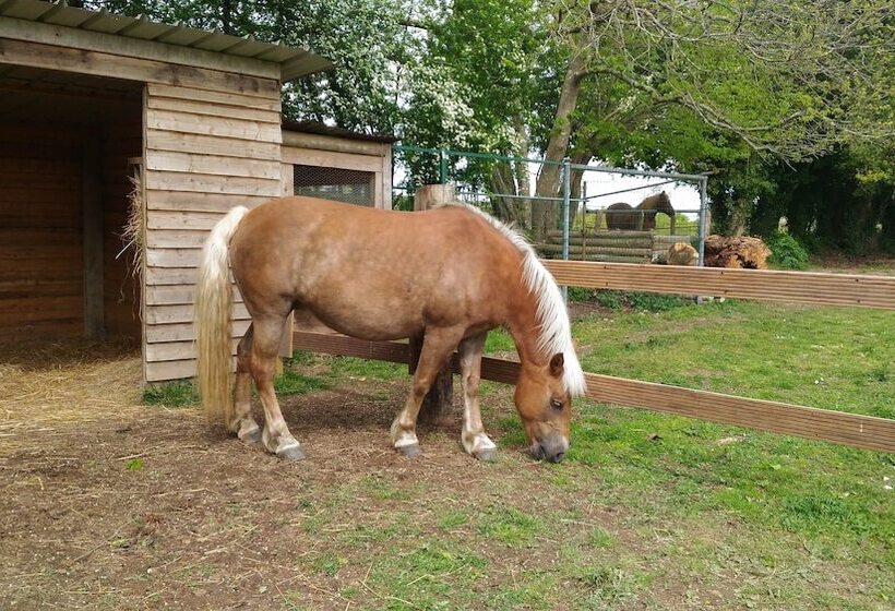 Bed and Breakfast Aux Agapanthes